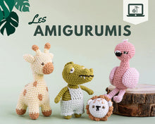 Load image into Gallery viewer, Cours de crochet &quot;Les Amigurumis&quot; avec Crochetmilie
