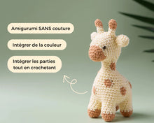 Load image into Gallery viewer, Cours de crochet &quot;Les Amigurumis&quot; avec Crochetmilie
